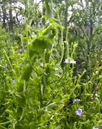 Captura de pantalla 2025-11-01 a las 12.55.04