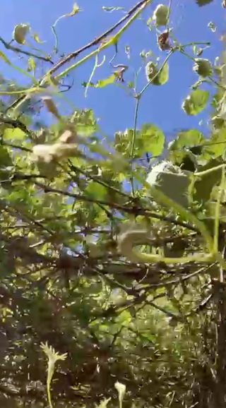 Captura de pantalla 2025-12-08 a las 15.13.49